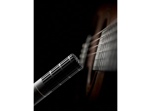 DPA 2011C Stereo Pair Clips and Windscreen in case 