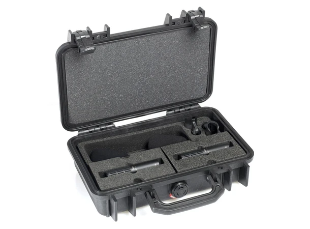 DPA 2011C Stereo Pair Clips and Windscreen in case 