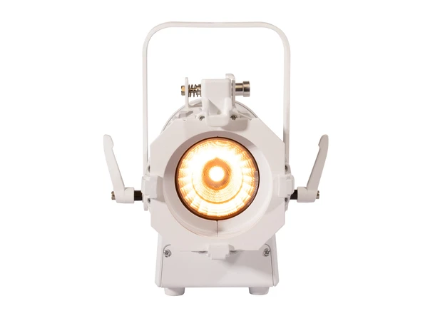 ADJ Encore FR20 DTW white Dim to warm feature 