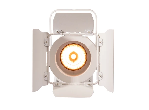 ADJ Encore FR20 DTW white Dim to warm feature 