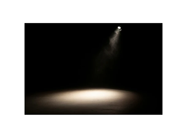 ADJ Encore FR20 DTW white Dim to warm feature 