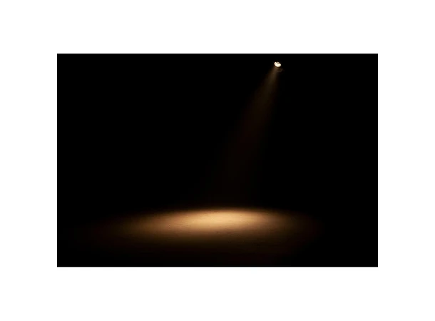 ADJ Encore FR20 DTW white Dim to warm feature 