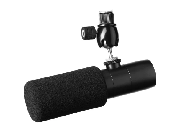 Earthworks Ethos - Black Kondensatormikrofon for kringkasting 