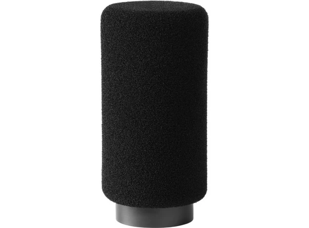 Earthworks Ethos - Black Kondensatormikrofon for kringkasting 