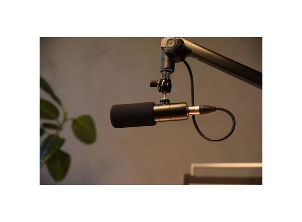 Earthworks Ethos - Black Kondensatormikrofon for kringkasting 