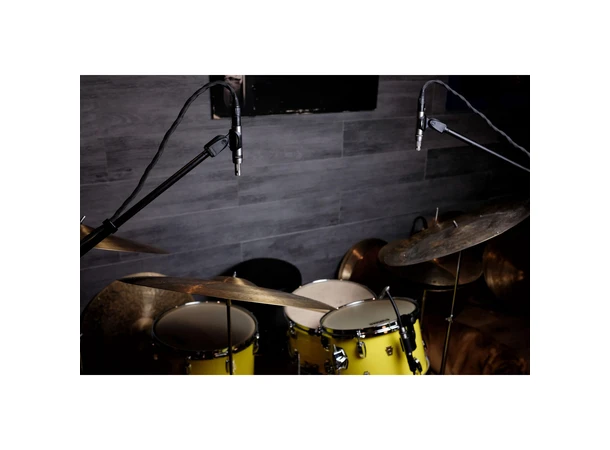 Earthworks SR25mp G2 Stereo Pair of Supercardioid Microphones 