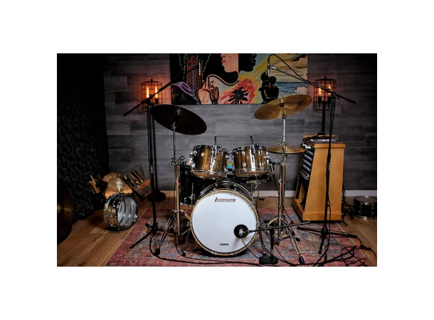 Earthworks SR25mp G2 Stereo Pair of Supercardioid Microphones 