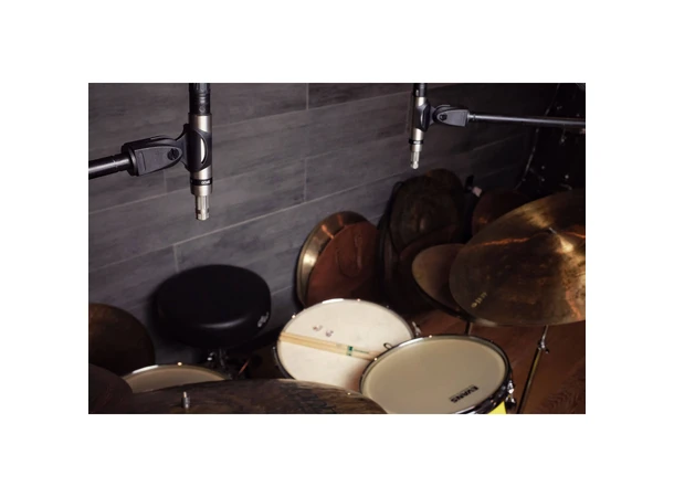 Earthworks SR20 SP Gen 2 Stereo Pair of Cardioid Microphones 