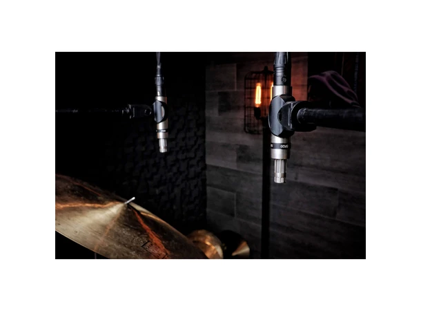 Earthworks SR20 SP Gen 2 Stereo Pair of Cardioid Microphones 