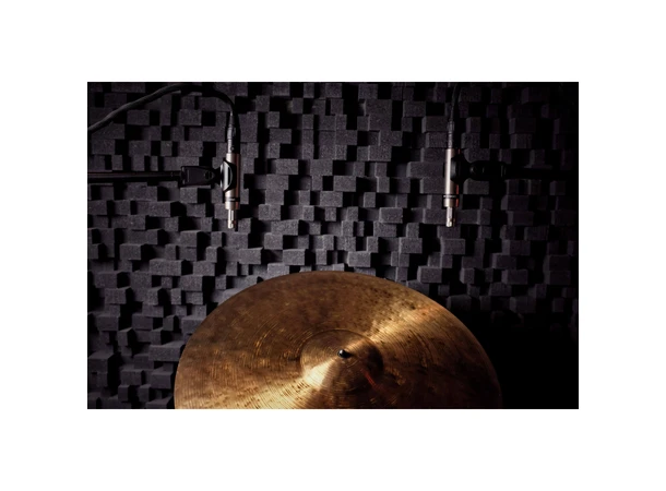 Earthworks SR20 SP Gen 2 Stereo Pair of Cardioid Microphones 