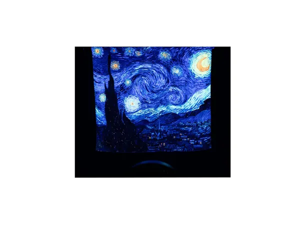 ADJ UV PAR 100IP 100-watt C.O.B. UV LED, IP65 