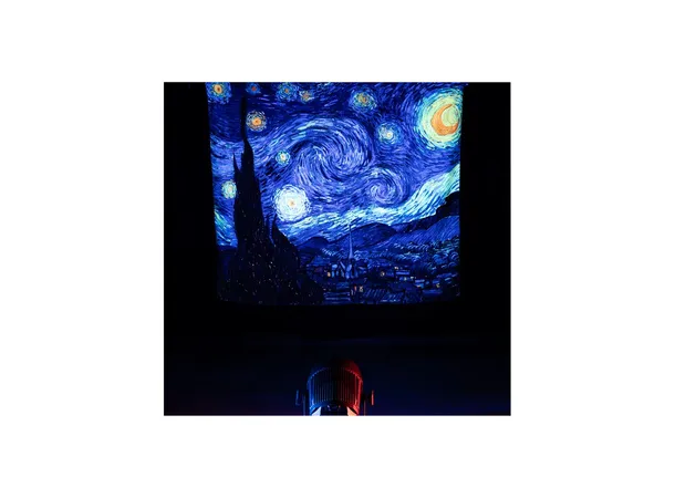 ADJ UV PAR 100IP 100-watt C.O.B. UV LED, IP65 