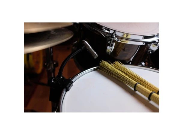 Earthworks DM20 G2 Med feste for skarptromme og tammer 