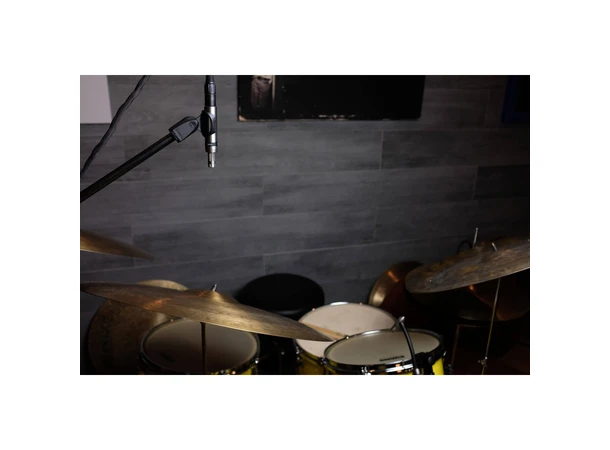 Earthworks SR25 G2 Small-diaphragm Condenser 