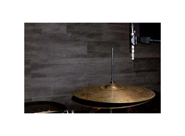 Earthworks SR25 G2 Small-diaphragm Condenser 