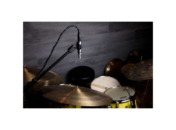 Earthworks SR25 G2 Small-diaphragm Condenser 