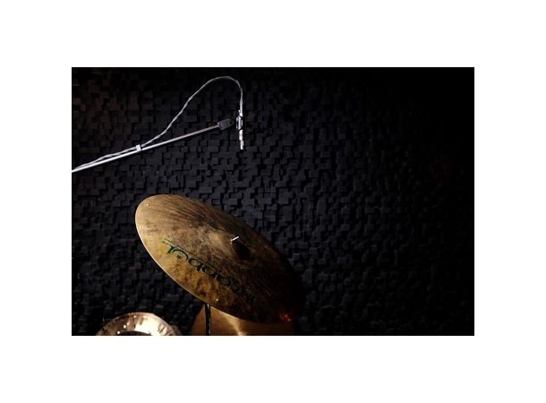 Earthworks SR25 G2 Small-diaphragm Condenser 