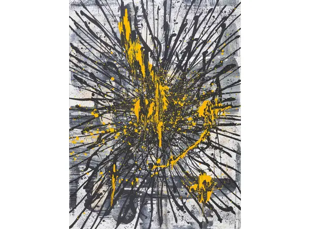 Coda Space M2-C M2 Modul 1198 x 598 x 70 mm, 127 dB SPL 