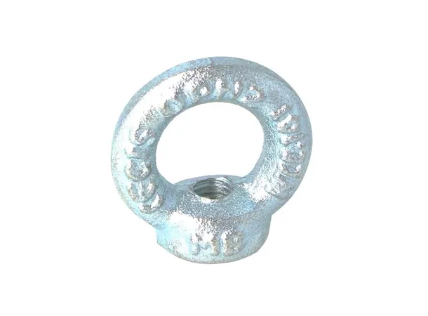 Doughty T42100 EYE NUT M8 (140 kg) (CONFORMS TO DIN 582) 