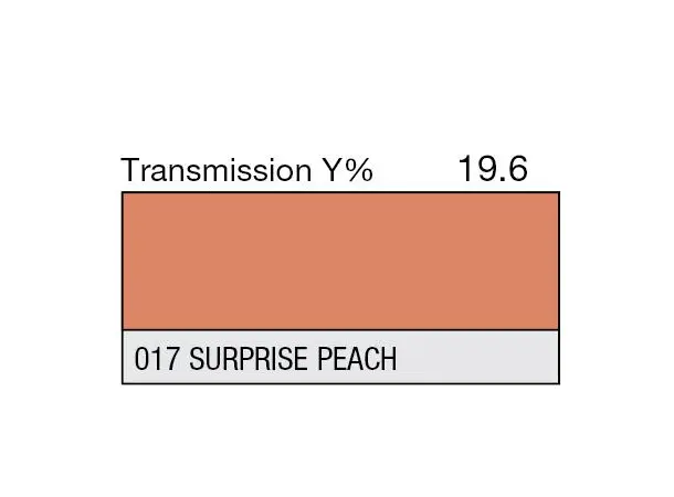 LEE 017 Surprise Peach Rull 762x122cm
