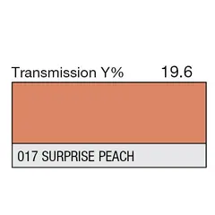 LEE 017 Surprise Peach Rull 762x122cm
