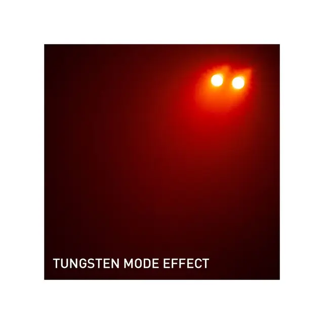 ADJ Encore Burst 200 IPX4, 2x 110W WW CREE COB-LEDs, 50° Beam 