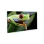 ADJ WMS2 Pixel Pitch: 2.6mm IP20, 800 NITS