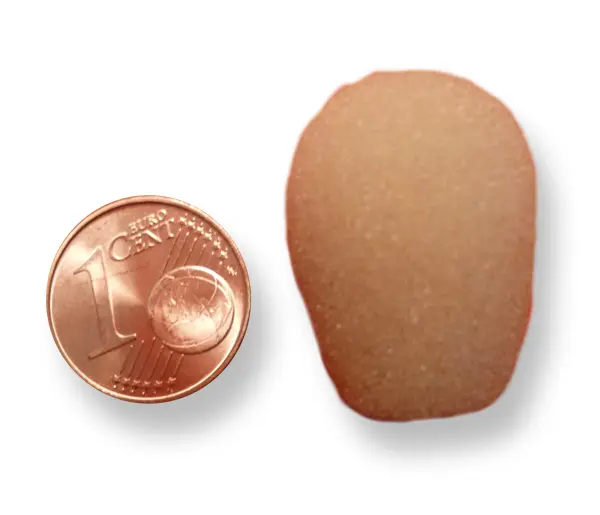 ARS Vindhette for ARS Cardio Hodebøyler SKIN color 