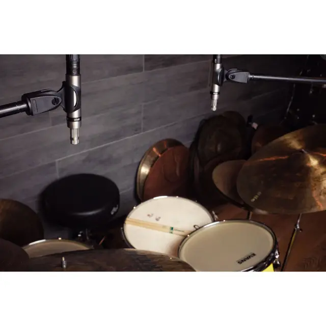 Earthworks SR20 SP Gen 2 Stereo Pair of Cardioid Microphones 