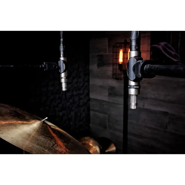 Earthworks SR20 SP Gen 2 Stereo Pair of Cardioid Microphones 