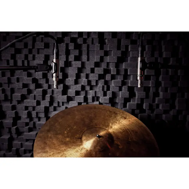 Earthworks SR20 SP Gen 2 Stereo Pair of Cardioid Microphones 