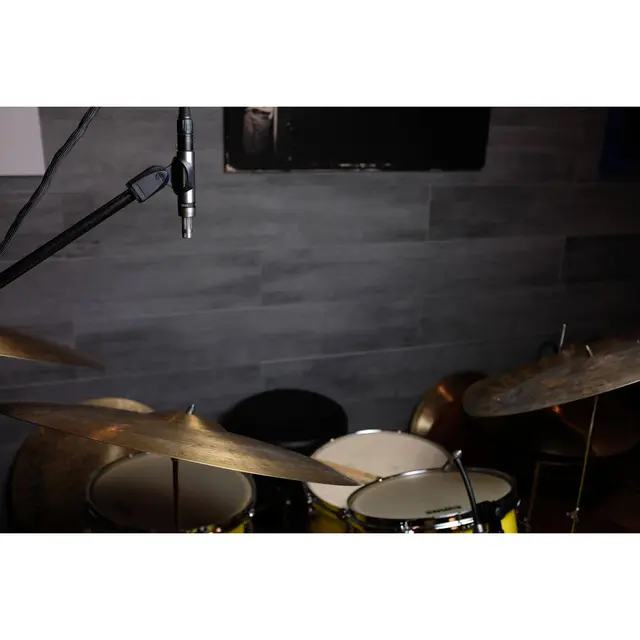 Earthworks SR25 G2 Small-diaphragm Condenser 