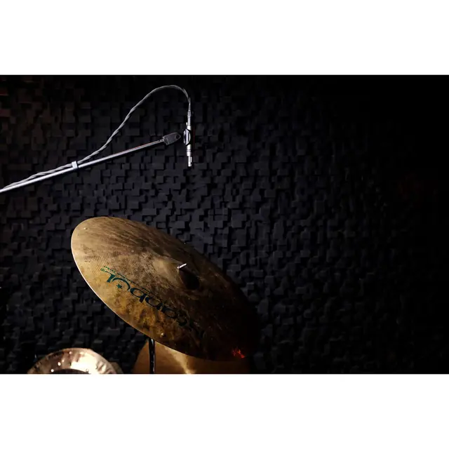 Earthworks SR25 G2 Small-diaphragm Condenser 