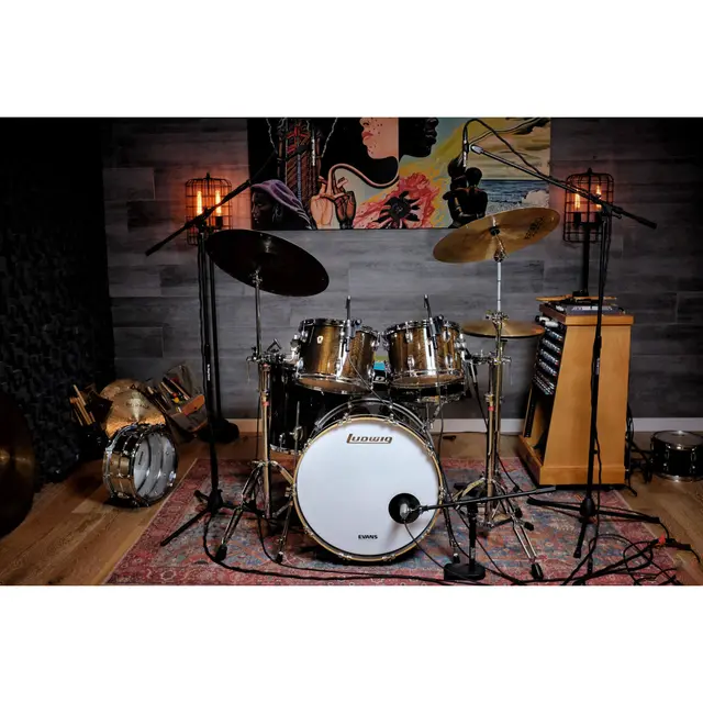 Earthworks SR25mp G2 Stereo Pair of Supercardioid Microphones 