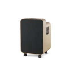 Artome M10 Plus Lacquered ash Komplett - ink. Miracast - Black door