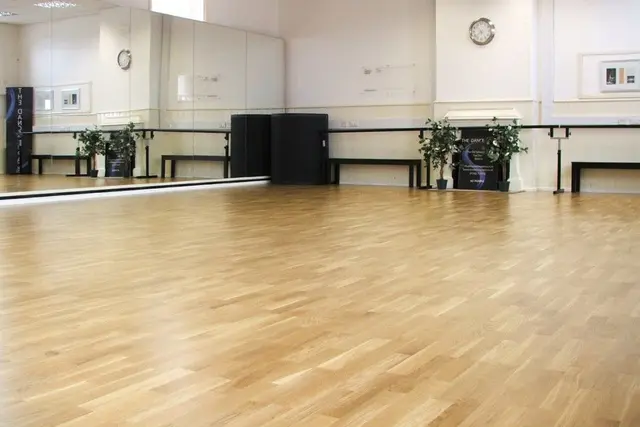 Le Mark Meadow Sprung Dance Floor 4x 215x2220, Dance floor (1,84 kvm) 