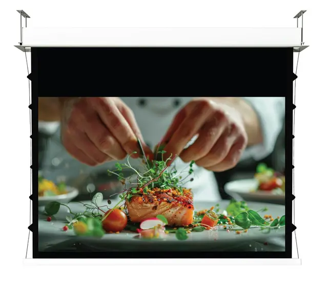 Screenline INCEILING Tensioned 120" 16:9 Lystett, gain 1,0 