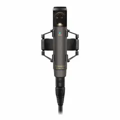 Sennheiser MKH 800 Twin NX Dual Capsule Michrophone, GREY, remote adjustable