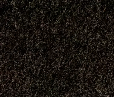 41543